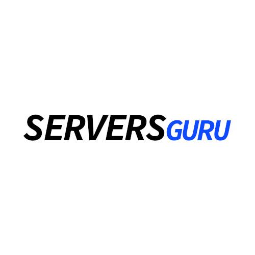 Netherlands Vps Fast Reliable From Mo Servers Guru